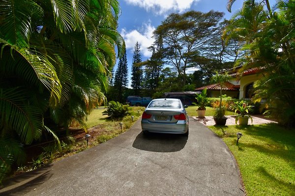 th Peters Place - Party House 1560 th Peters Place - Party House 1560