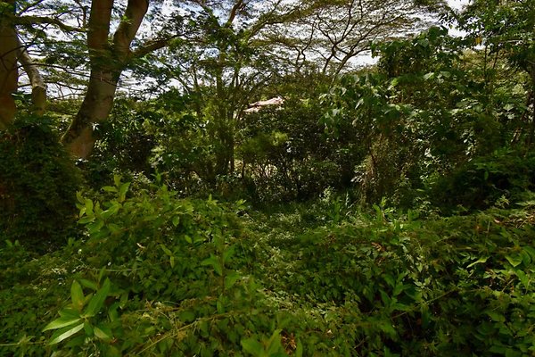 th Peters Place - Party House 1570 th Peters Place - Party House 1570