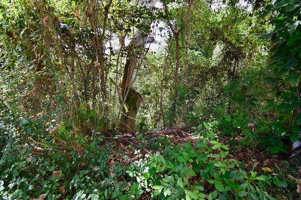 th Peters Place - Party House 1577 th Peters Place - Party House 1577