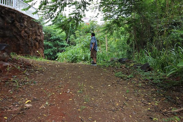 th IMG 0295 th IMG 0295