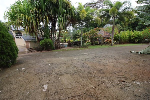 th IMG 0305 th IMG 0305