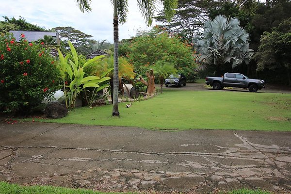 th IMG 0307 th IMG 0307