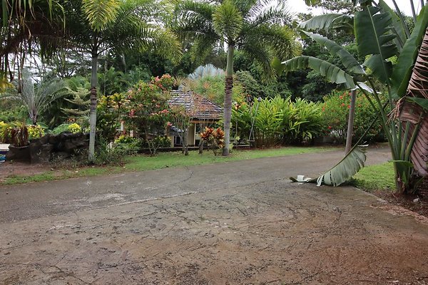 th IMG 0304 th IMG 0304