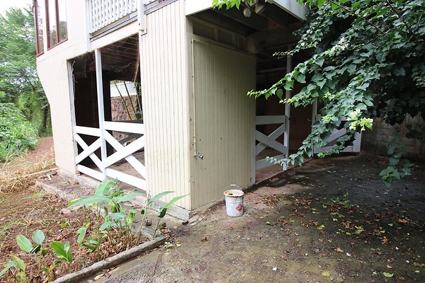 th IMG 0298 th IMG 0298