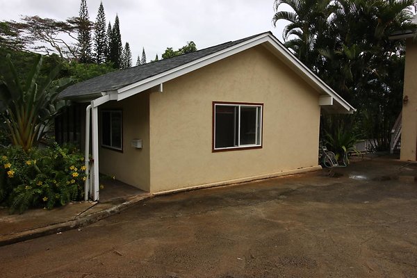 th IMG 1194 th IMG 1194