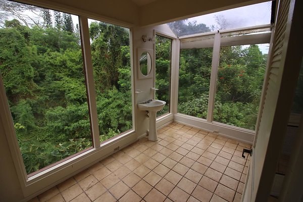 th IMG 1185 th IMG 1185