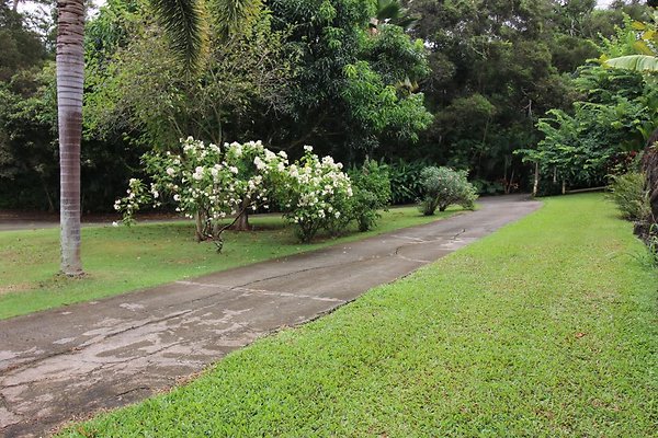 th IMG 0308 th IMG 0308