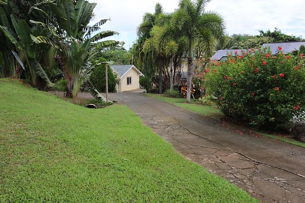 th IMG 0306 th IMG 0306