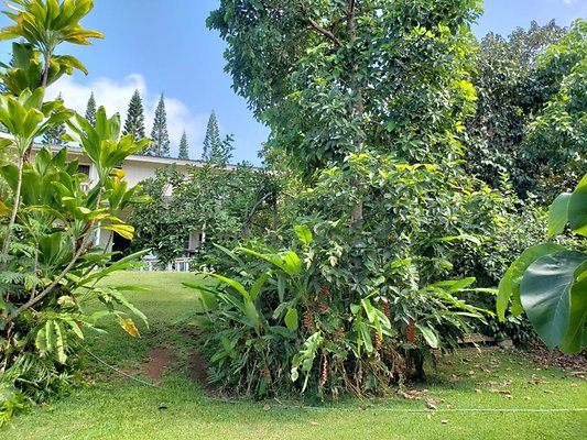 th 20190809 151652 th 20190809 151652