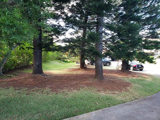 th 20190809 145833 th 20190809 145833