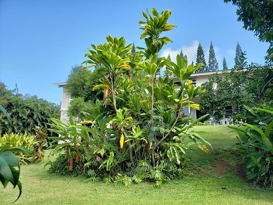 th 20190809 151642 th 20190809 151642