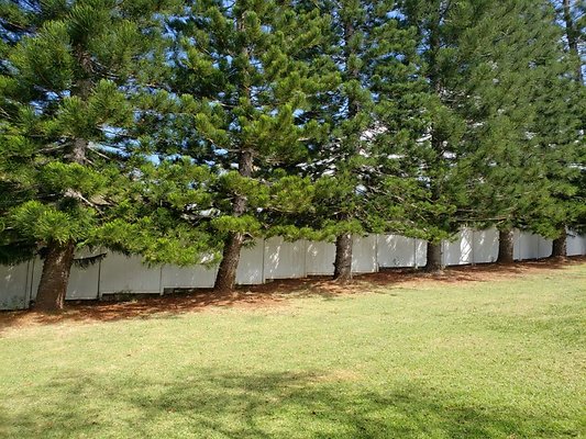 th 20190809 150234 th 20190809 150234