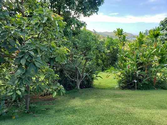 th 20190809 151441 th 20190809 151441