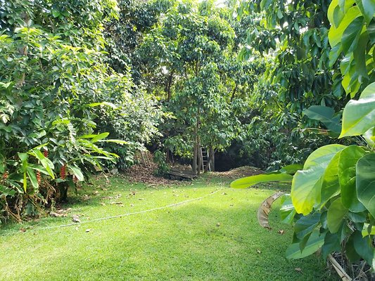 th 20190809 151700 th 20190809 151700