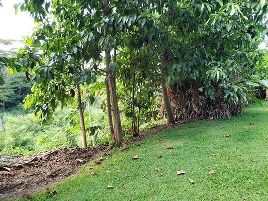 th 20190809 152043 th 20190809 152043