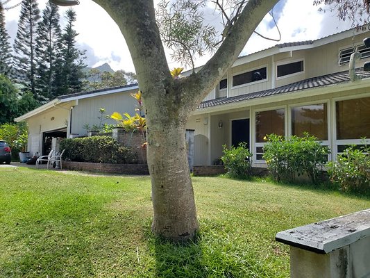 th 20190809 150247 th 20190809 150247