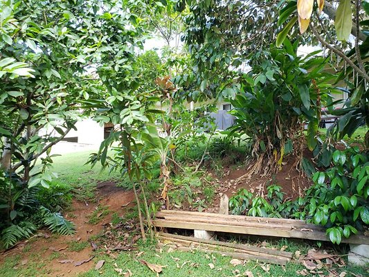 th 20190809 152036 th 20190809 152036