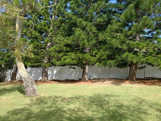 th 20190809 150229 th 20190809 150229