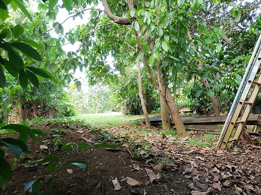 th 20190809 151920 th 20190809 151920