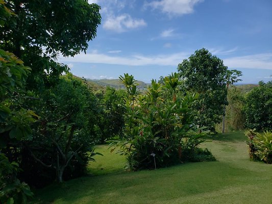 th 20190809 151445 th 20190809 151445