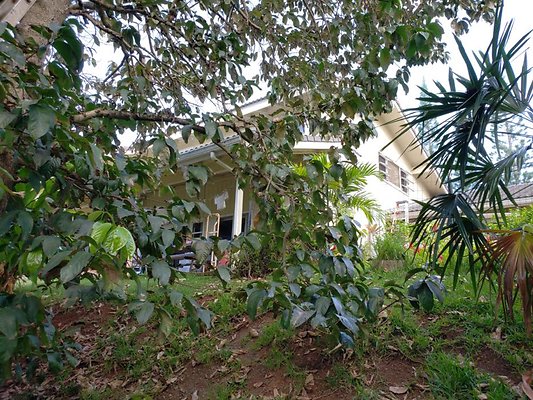 th 20190809 151953 th 20190809 151953