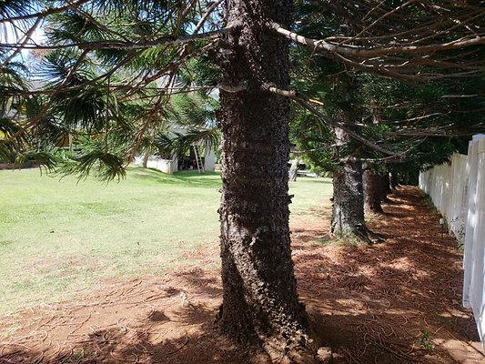 th 20190809 150032 th 20190809 150032