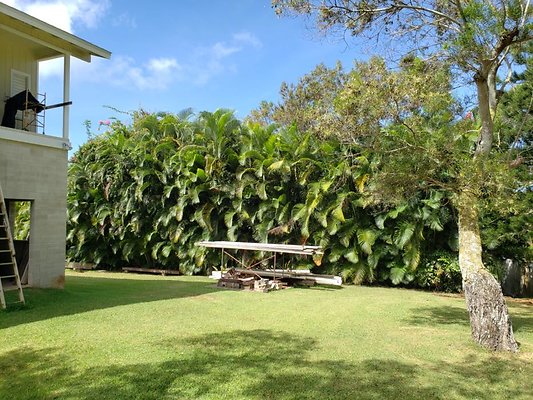 th 20190809 150209 th 20190809 150209