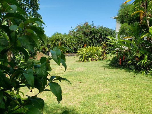 th 20190809 151605 th 20190809 151605