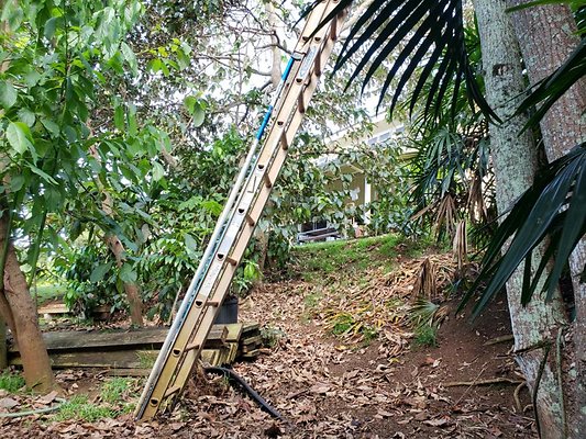 th 20190809 151935 th 20190809 151935