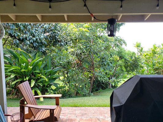 th 20190809 151338 th 20190809 151338