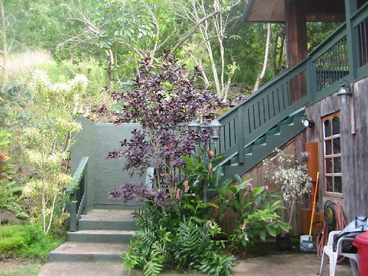 Cully North Shore Mauka