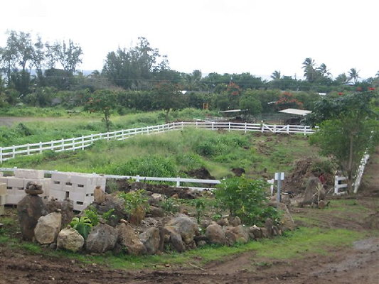 Cully North Shore mauka 2 (6)