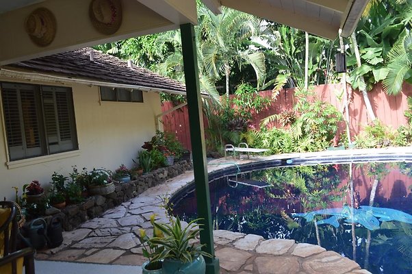 th DSC 0102 th DSC 0102