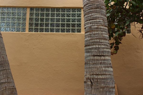 th IMG 1868 th IMG 1868