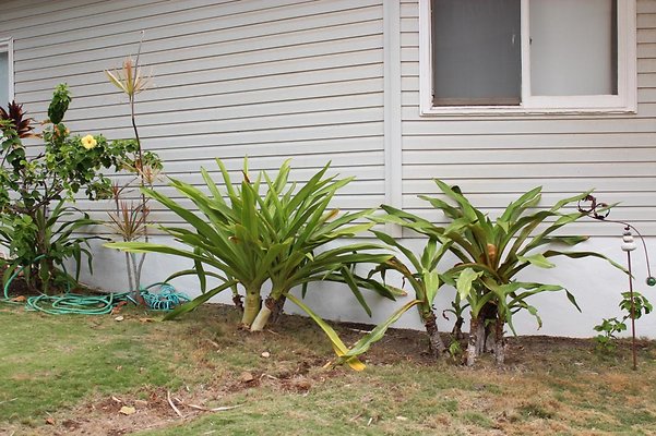 th IMG 1869 th IMG 1869