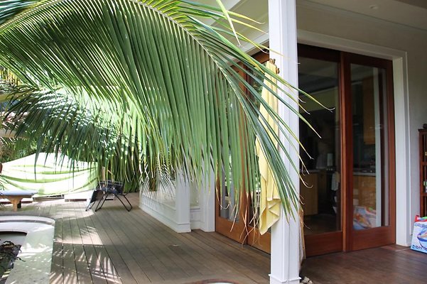 hi50 IMG 0252 hi50 IMG 0252