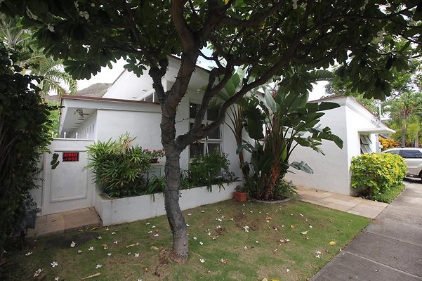Diamond Head 3040 Kiele Ave Rachel Myhedyn 808 589 8612 Diamond Head 3040 Kiele Ave Rachel Myhedyn 808 589 8612