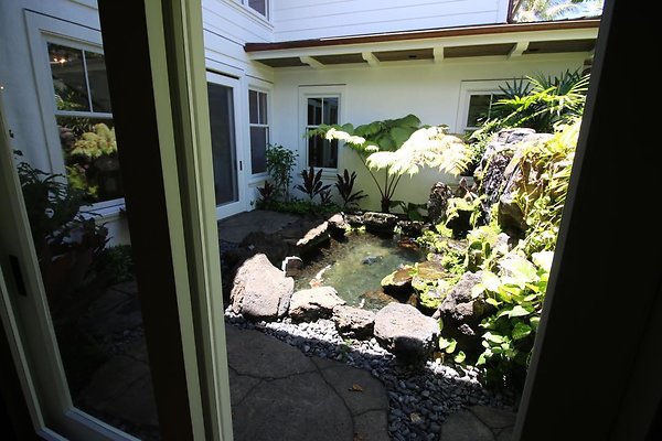 th IMG 0217 th IMG 0217