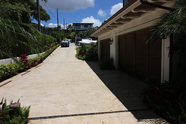 th IMG 0208 th IMG 0208