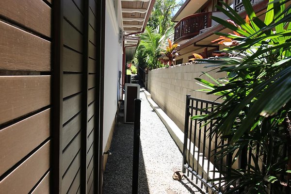 th IMG 0242 th IMG 0242