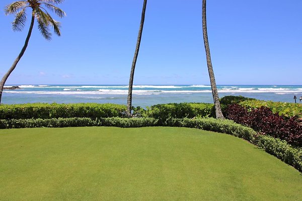 th IMG 0236 th IMG 0236