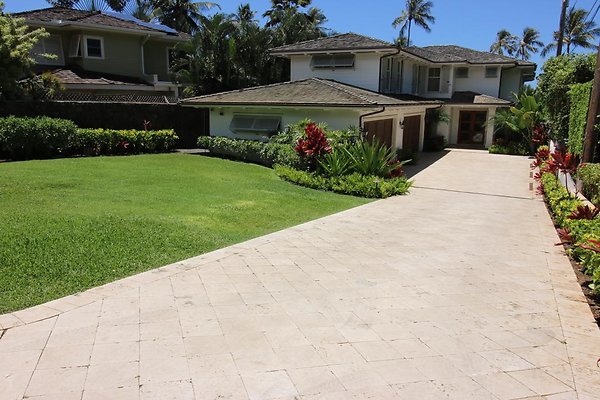 th IMG 0203 th IMG 0203