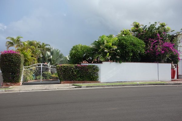 Diamond Head 4345 Papu Circ Sara Jehn 808.373.6025 Diamond Head 4345 Papu Circ Sara Jehn 808.373.6025