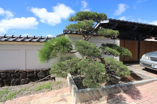 Kaimuki 606 7th Ave George 387 6232 Kaimuki 606 7th Ave George 387 6232