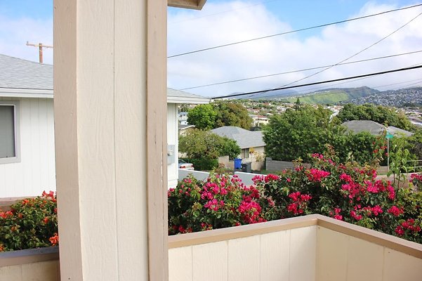 th IMG 7615 th IMG 7615