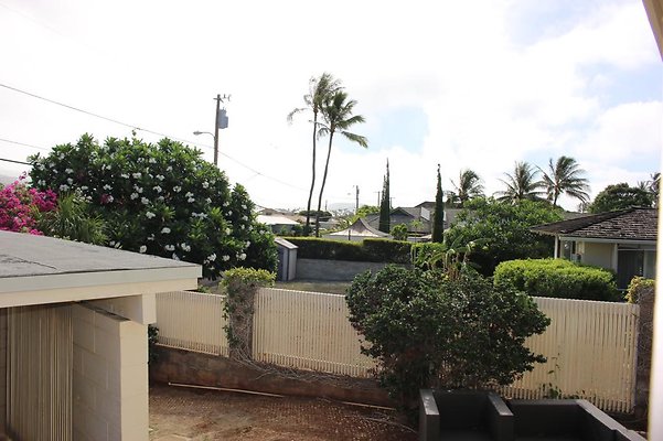 th IMG 7617 th IMG 7617