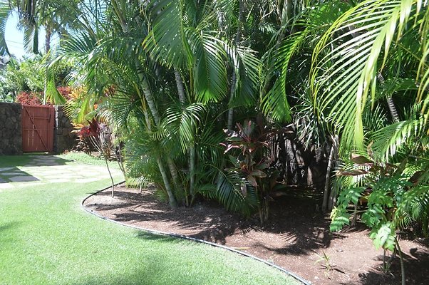 th DSC 0179 th DSC 0179