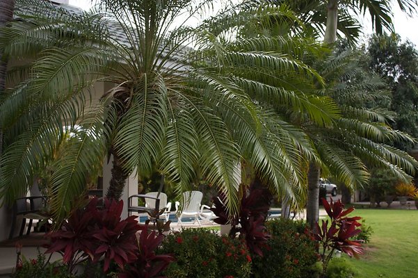 th IMG 0412 th IMG 0412