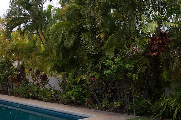 th IMG 0445 th IMG 0445