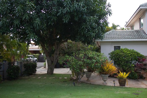 th IMG 0449 th IMG 0449